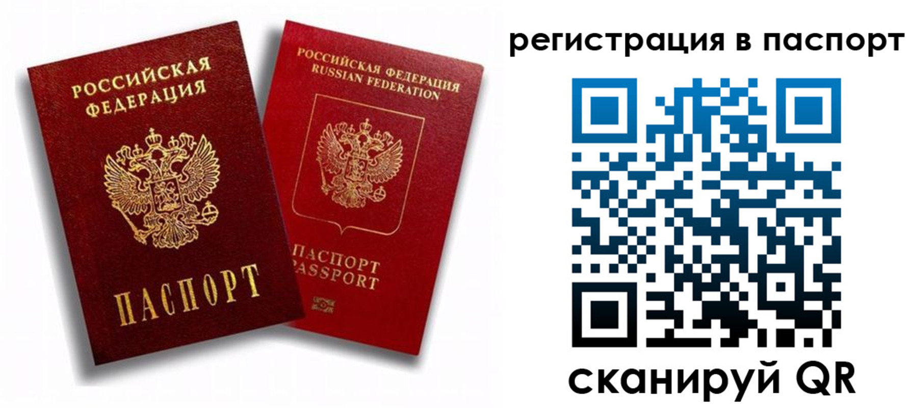 прописка 2025 в Десногорске